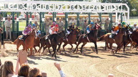 《奔腾人生》：当一位家庭主妇与一匹栗色马驹改写了赛马史