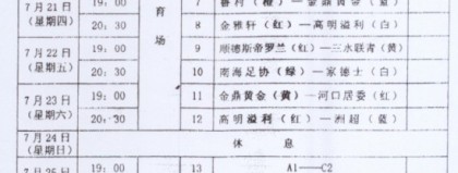 标题：澳超第26轮收官战十队厮杀 纽卡头名撞线西悉尼垫底